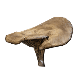 Mushroom