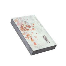 Torn Book